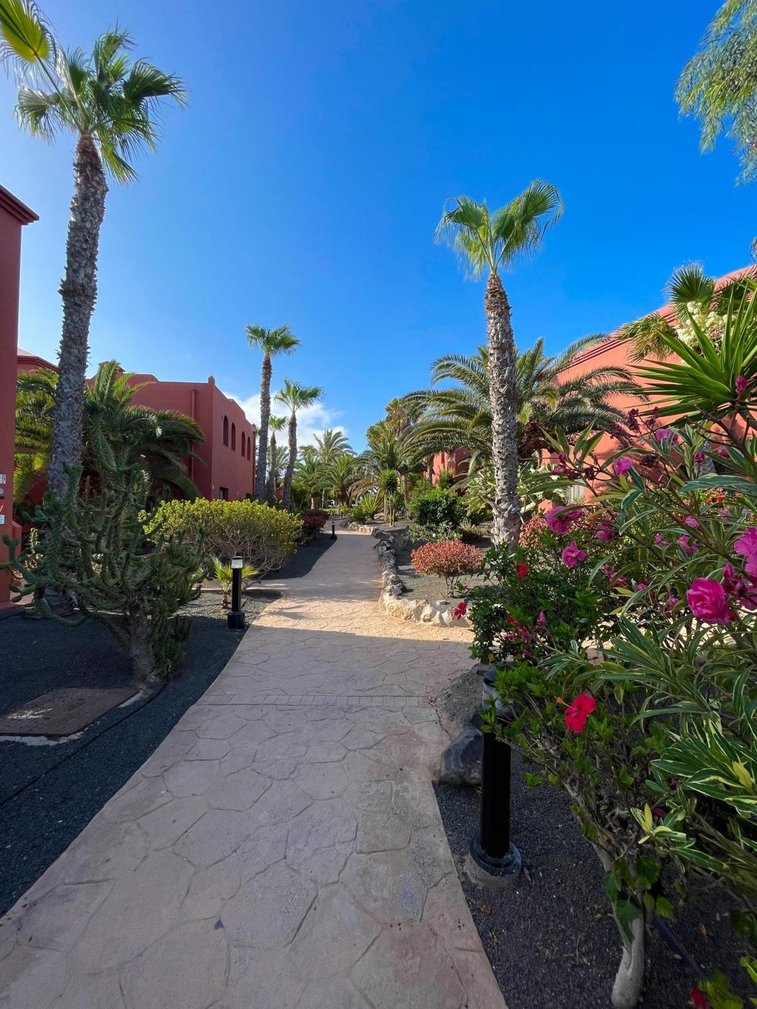 Karol Home By Best Holidays Fuerteventura Κοραλέχο Εξωτερικό φωτογραφία