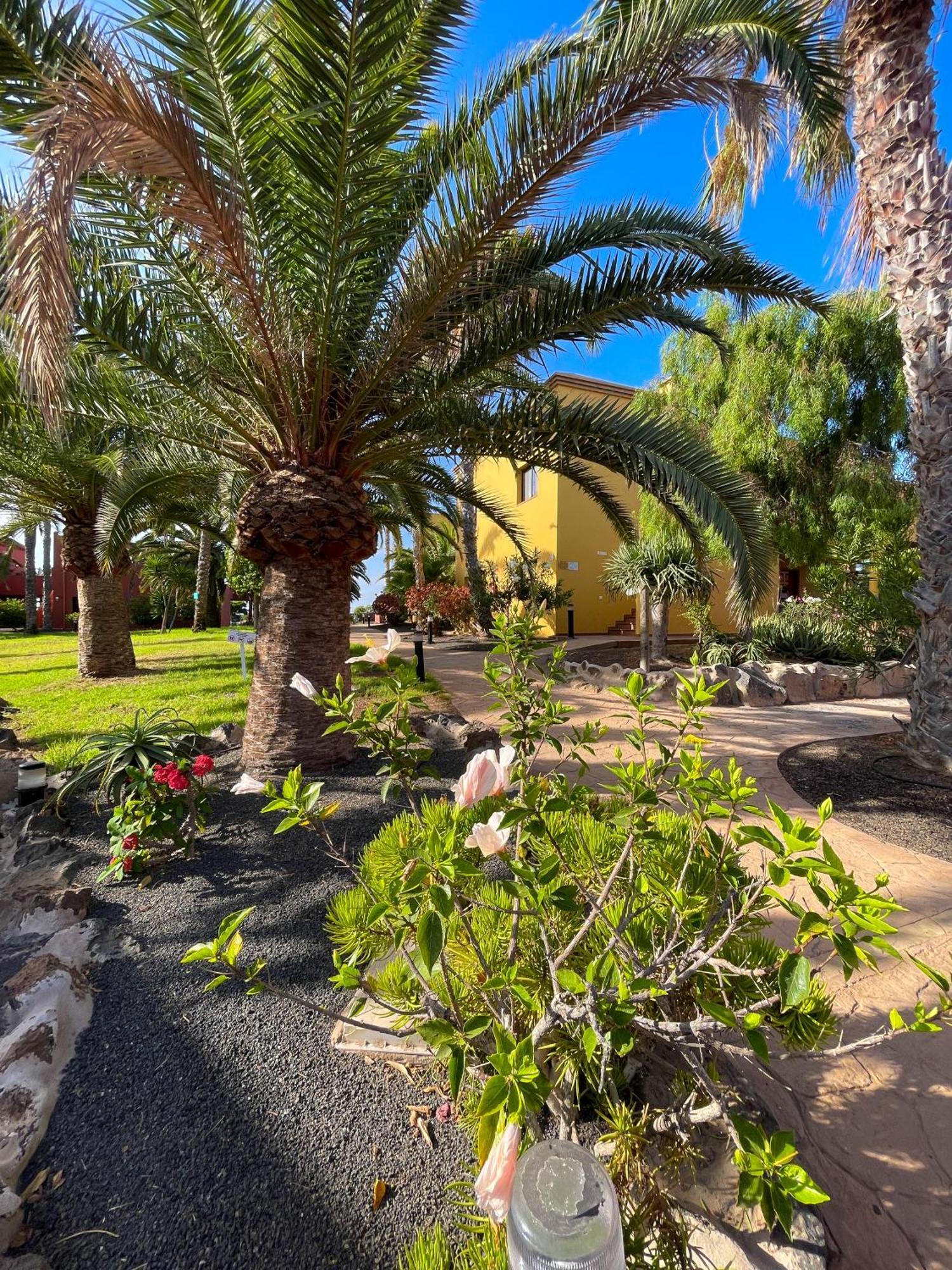 Karol Home By Best Holidays Fuerteventura Κοραλέχο Εξωτερικό φωτογραφία